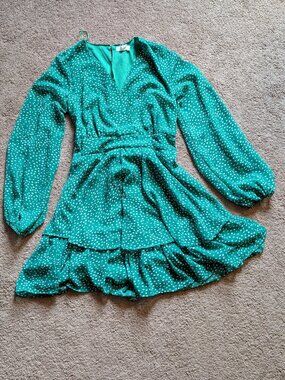Japna Green Ruffled Polka Dot Sheer Dress Long Sleeve Size Medium